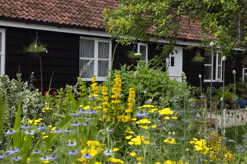 Jasmine Cottage behind flower border