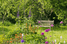 Hillyground Cottage Holidays Garden view